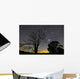 Southern Skies Star Trails Wall Decal