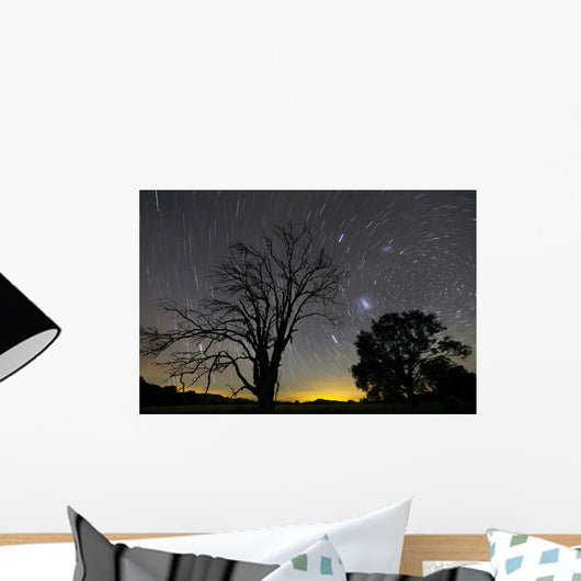 Southern Skies Star Trails Wall Decal
