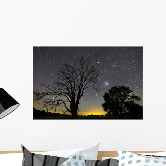 Southern Skies Star Trails Wall Decal