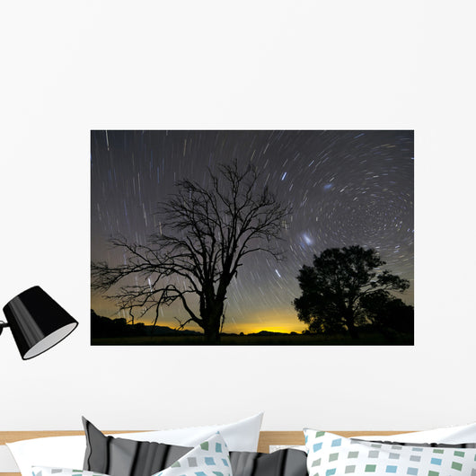 Southern Skies Star Trails Wall Decal