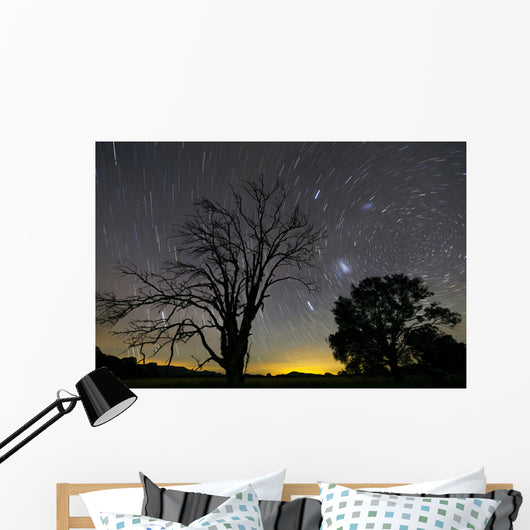 Southern Skies Star Trails Wall Decal