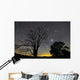 Southern Skies Star Trails Wall Decal