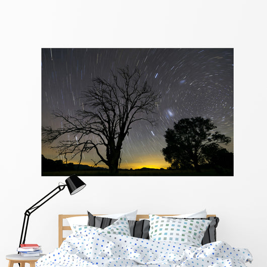 Southern Skies Star Trails Wall Decal