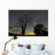 Southern Skies Star Trails Wall Decal