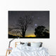 Southern Skies Star Trails Wall Decal