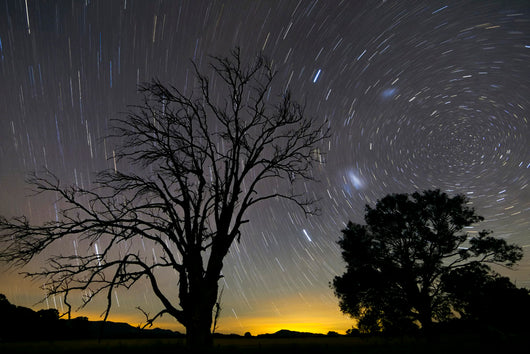 Southern Skies Star Trails Wall Decal