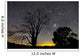 Southern Skies Star Trails Wall Decal