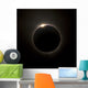 Solar Eclipse with Prominences Wall Decal