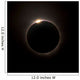 Solar Eclipse with Prominences Wall Decal