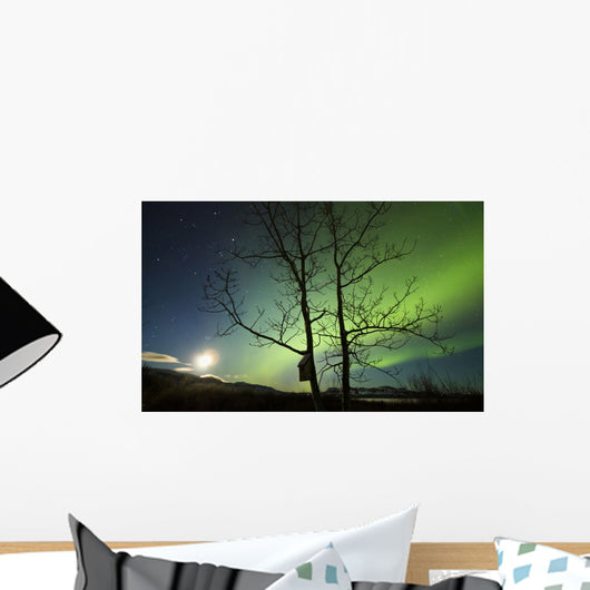 Moonset and Northern Lights Wall Decal