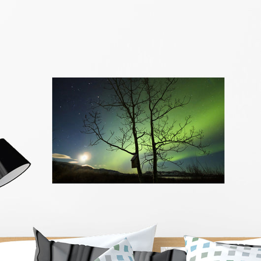 Moonset and Northern Lights Wall Decal