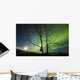 Moonset and Northern Lights Wall Decal