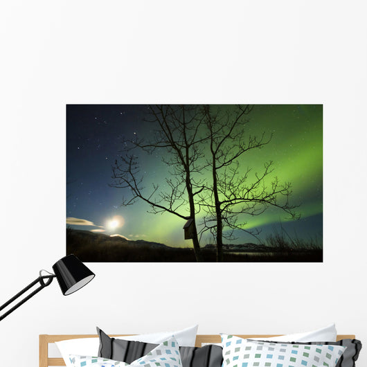 Moonset and Northern Lights Wall Decal