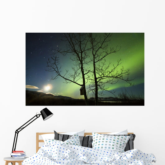 Moonset and Northern Lights Wall Decal