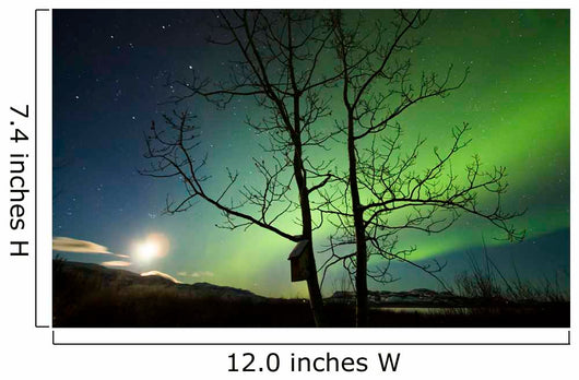 Moonset and Northern Lights Wall Decal
