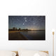 Star Trails and Bioluminescence Wall Decal Design 2