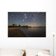 Star Trails and Bioluminescence Wall Decal Design 2