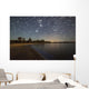 Star Trails and Bioluminescence Wall Decal Design 2