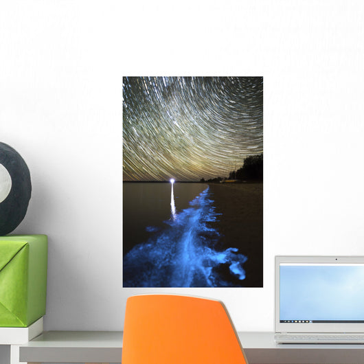 Star Trails and Bioluminescence Wall Decal Design 1