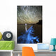 Star Trails and Bioluminescence Wall Decal Design 1