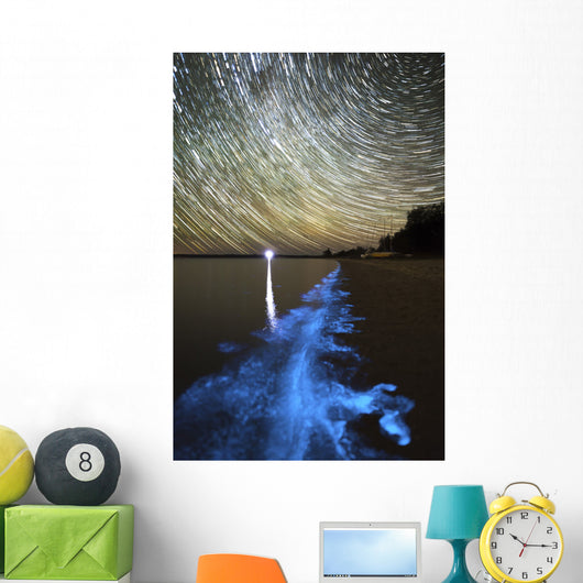 Star Trails and Bioluminescence Wall Decal Design 1