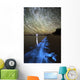 Star Trails and Bioluminescence Wall Decal Design 1