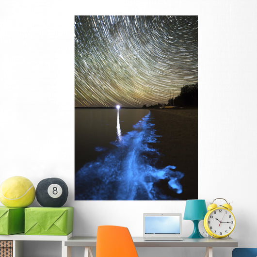Star Trails and Bioluminescence Wall Decal Design 1