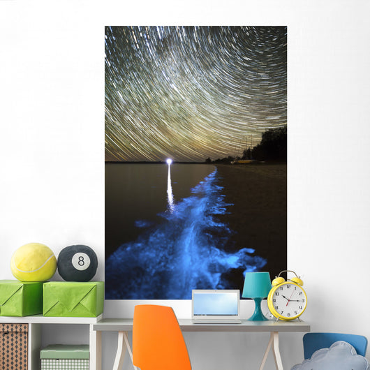 Star Trails and Bioluminescence Wall Decal Design 1