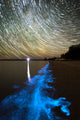 Star Trails and Bioluminescence Wall Decal Design 1