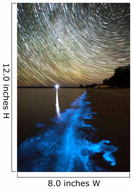 Star Trails and Bioluminescence Wall Decal Design 1