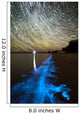 Star Trails and Bioluminescence Wall Decal Design 1