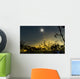 Solar Eclipse Composite Queensland Wall Decal Design 3