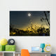 Solar Eclipse Composite Queensland Wall Decal Design 3