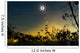 Solar Eclipse Composite Queensland Wall Decal Design 3