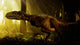 Abelisaurus Moves Stealthily Though Wall Decal