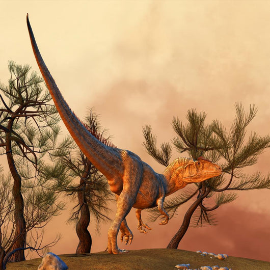 Allosaurus Large Theropod Dinosaur Wall Decal