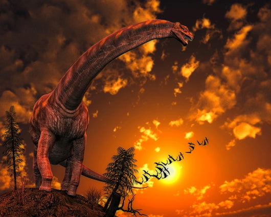 Argentinosaurus Titanosaur Sauropod Dinosaur Wall Decal