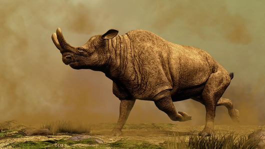 Brontotherium Family Extinct Mammals Wall Decal