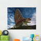Dimetrodon Was Extinct Genus Wall Decal