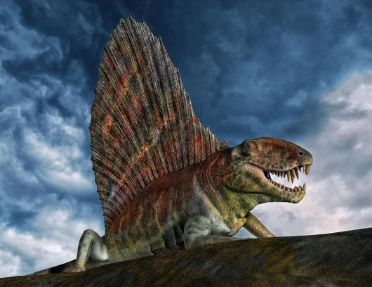 Dimetrodon Was Extinct Genus Wall Decal