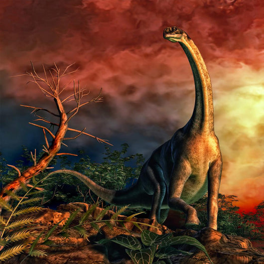 Jobaria Was Sauropod Dinosaur Wall Decal