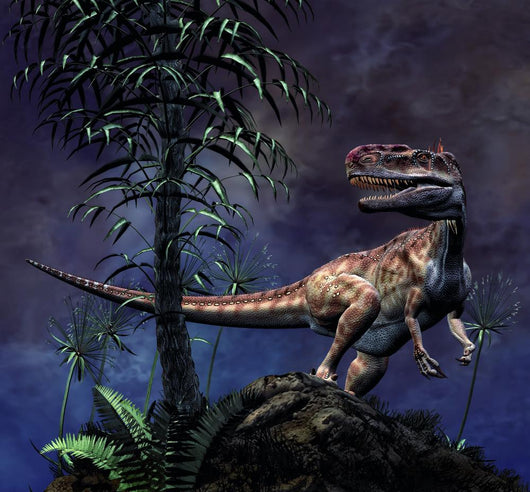 Monolophosaurus Was Theropod Dinosaur Wall Decal