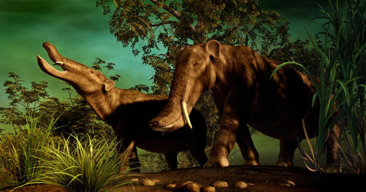 Platybelodon Was Large Herbivorous Wall Decal