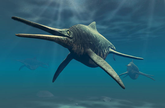 Shonisaurus Was Genus Ichthyosaur Wall Decal