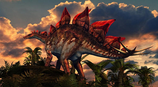 Distinctive Shape Stegosaurus Stands Wall Decal
