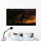 Tyrannosaurus Rex Emerging from Wall Decal