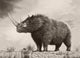 Woolly Rhinoceros Is Extinct Wall Decal