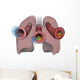 Lungs and Bronchioles Depicting Wall Decal