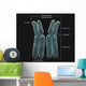 Homologous Chromosomes with Annotations Wall Decal