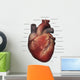 Anterior Human Heart Anatomy Labeled Wall Decal